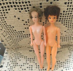 2 clones sandy